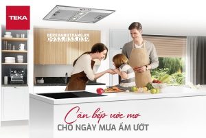 z3660698886319 c510cd107716d773aa281e4e722ba6fb - Máy Hút Mùi Âm tủ Teka GHF 55 40446700