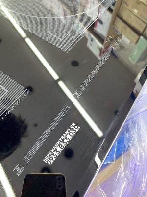z3762256671509 2e6863b94beba2b035a1b059b9d7d652 - Bếp từ Eurosun EU-T897G