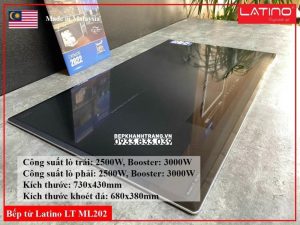 z3763473342011 b66d67562fb5e79c900662982e159637 - Bếp từ LATINO LT ML202