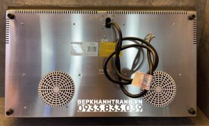 z3768567408233 19188ec71f2d3b8885098e123edfb963 - Bếp từ đôi Eurosun EU-T210Max