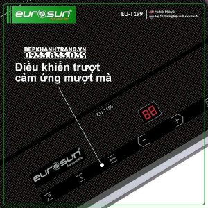 z3794426556394 fb62829f165ba86dd621372bf7f972df - Bếp Từ Đơn EUROSUN EU-T199