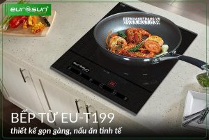 z3794426562616 c5507d390c530c1b925638a3ee3171e5 - Bếp Từ Đơn EUROSUN EU-T199
