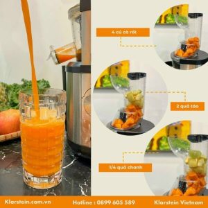 z3796836414734 2b3ac84a62810e5ef52134d1f4c2cd4e - MÁY ÉP CHẬM 400W KLARSTEIN FRUITBERRY SILVER