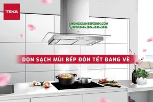 z4033182610986 679268adafa98b0dbbf2d670477c81d0 1 - Máy Hút Mùi Đảo Teka DG3 ISLA 980 40485140