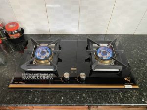 z4033419893516 c0e02e8bf39c216b33ceb4307ebeeefb - Bếp gas âm Eurosun EU-GA291D