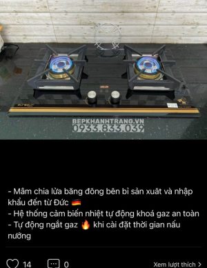 z4033419914135 3dfaabb9772f1fb2aa7ff131ed990cb9 - Bếp gas âm Eurosun EU-GA291D