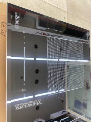 z4141559736877 554e2d66595293e0d060a4c70498e0db - Bếp từ Binova BI-555-IDC nhập khẩu malaysia