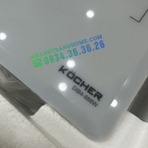z5238314048278 4ee8c6ea59ceaa909217e157caa43b54 1 - Bếp từ Kocher DIB4-888W