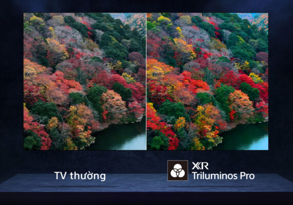 3 XR Triluminos Pro 571x400 1 - GOOGLE TIVI OLED SONY 4K 55 INCH K-55XR80 GOOGLE TIVI OLED SONY 4K 55 INCH K-55XR80