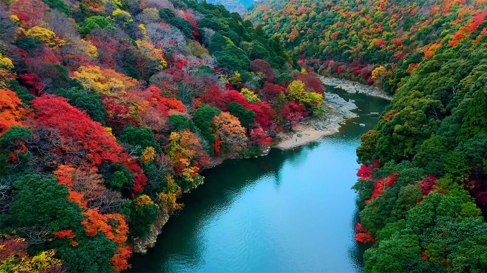 google tivi mini led sony 4k 98 inch k 98xr50 102907 3 - GOOGLE TIVI MINI LED SONY 4K 98 INCH K-98XR50 GOOGLE TIVI MINI LED SONY 4K 98 INCH K-98XR50