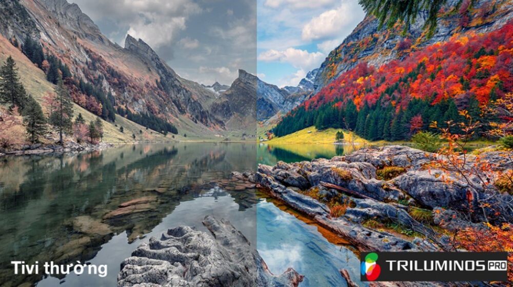 google tivi sony 4k 85 inch k 85s30 57225 1 - GOOGLE TIVI SONY 4K 85 INCH K-85S30 GOOGLE TIVI SONY 4K 85 INCH K-85S30