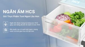 screenshot 1745825113 - TỦ LẠNH AQUA INVERTER 529 LÍT AQR-M600XA(GB) screenshot 1745825113 - TỦ LẠNH AQUA INVERTER 529 LÍT AQR-M600XA(GB)