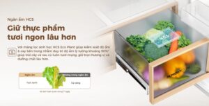 screenshot 1755924716 1 - TỦ LẠNH AQUA INVERTER 515 LÍT AQR-MA590XA(MC)U1