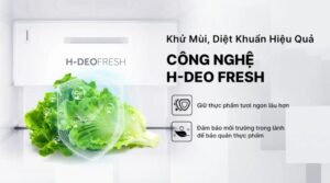 screenshot 1765503871 - TỦ LẠNH AQUA INVERTER 646 LÍT AQR-S682XA(GB)