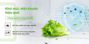 tu lanh aqua inverter 469 lit aqr m560xagl 63229 7 - TỦ LẠNH AQUA INVERTER 469 LÍT AQR-M560XA(GL)