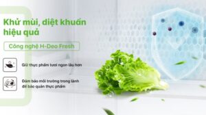 tu lanh aqua inverter 516 lit aqr m536xawgb 67368 6 - TỦ LẠNH AQUA INVERTER 469 LÍT AQR-M536XA(WGB)