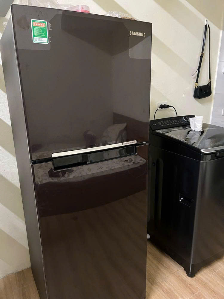 z7315180941912 389cf2ab73b4f25f15c6aabf4a676d85 - Tủ lạnh Samsung Inverter 236 lít RT22M4032BY/SV Tủ lạnh Samsung Inverter 236 lít RT22M4032BY/SV