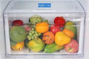 z7315181061357 02fa5ae0bf430a8b83152a9dd025b556 - Tủ lạnh Samsung Inverter 236 lít RT22M4032BY/SV Tủ lạnh Samsung Inverter 236 lít RT22M4032BY/SV