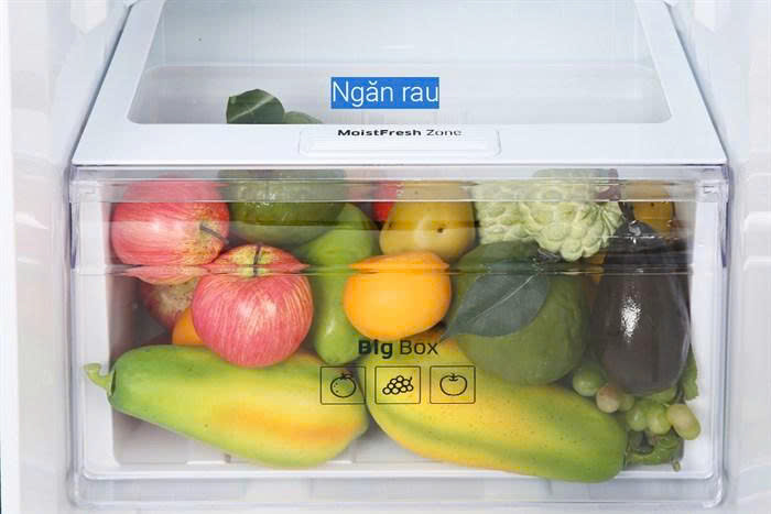 z7315265281272 7e95015c74c85c8968dcfab808fa0c13 - Tủ lạnh Samsung Inverter 256 lít RT25M4032BU/SV Tủ lạnh Samsung Inverter 256 lít RT25M4032BU/SV