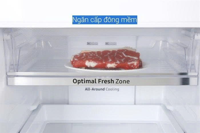 z7315265335704 772a4208f7bf4a96bbea9bd674082fcd - Tủ lạnh Samsung Inverter 256 lít RT25M4032BU/SV Tủ lạnh Samsung Inverter 256 lít RT25M4032BU/SV