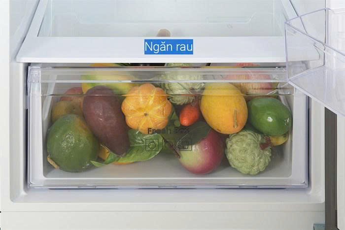 z7315444056549 85aeab5fba5143e1f795fa26019b604c - Tủ lạnh Samsung Inverter 305 lít RT31CG5424B1SV Tủ lạnh Samsung Inverter 305 lít RT31CG5424B1SV