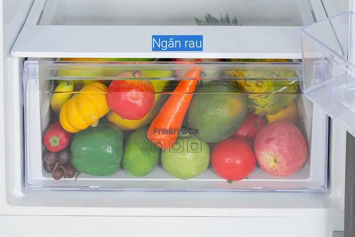 z7315498063264 5621ed4fd4a3379a7bdc42c07c3bfa11 - Tủ lạnh Samsung Inverter 345 lít RT35CG5544B1SV Tủ lạnh Samsung Inverter 345 lít RT35CG5544B1SV