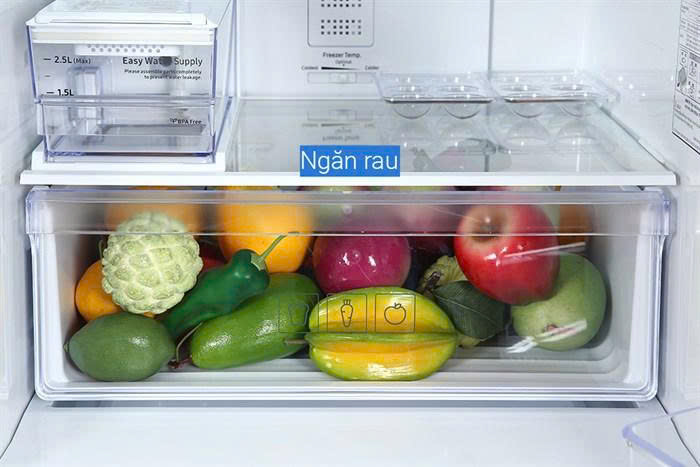 z7315562665505 8e4833fb66bba3ed9f2908752376bd9b - Tủ lạnh Samsung Inverter 307 lít RB30N4190BY/SV Tủ lạnh Samsung Inverter 307 lít RB30N4190BY/SV