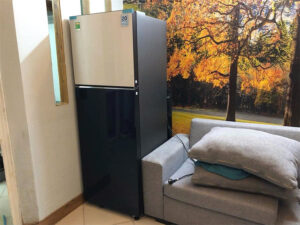 Tủ lạnh Samsung Inverter 305 lít RT31CB56248ASV