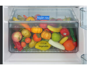 R FVX480PGV9GBK 9 - TỦ LẠNH HITACHI INVERTER 366 LÍT R-FVX480PGV9(GBK)