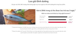 R WB640VGV0XMIR 8 - TỦ LẠNH HITACHI INVERTER 569 LÍT R-WB640VGV0(GBK)