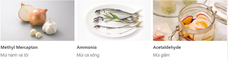 ckeditor 2714457 1 - TỦ LẠNH HITACHI INVERTER 339 LÍT R-FVX450PGV9(GBK) ckeditor 2714457 1 - TỦ LẠNH HITACHI INVERTER 339 LÍT R-FVX450PGV9(GBK)