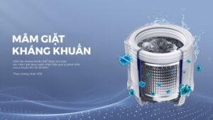 thinh phat AWM13 B2158LB 8 - MÁY GIẶT AQUA INVERTER 11 KG AWM11-B2158L(B)