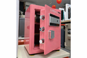 ChatGPT Image 22 25 33 5 thg 3 2026 1 - KÉT SẮT LIBERTY LB50S SPECIAL EDITION HỒNG PHẤN