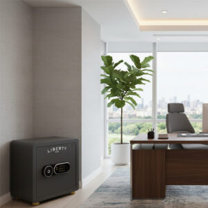 phoi canh ket sat liberty lb39s xam 1 - KÉT SẮT LIBERTY LB39S XÁM